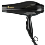 سشوار حرفه ای پرومارون مدل RL-8802
